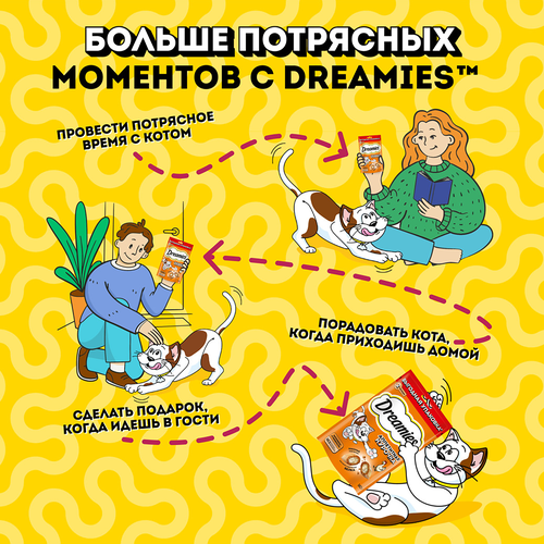 Лакомство для кошек DREAMIES с курицей, 140г, вид