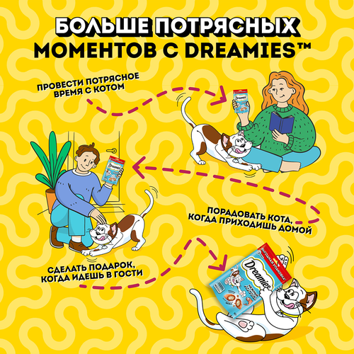 Лакомство для кошек DREAMIES с лососем, 140г, крупный план