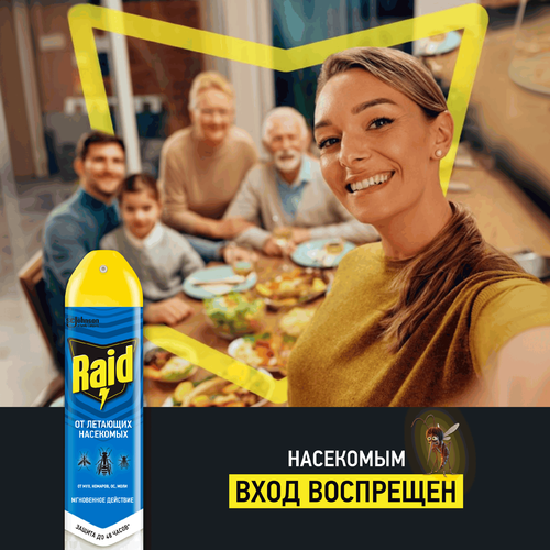 Аэрозоль от летающих насекомых RAID, 300мл, фото