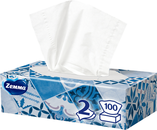 Салфетки бумажные ZEMMA Everyday 2 слоя, в коробке, 100шт, вид