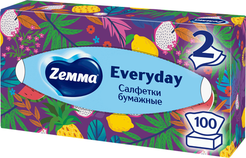 Салфетки бумажные ZEMMA Everyday 2 слоя, в коробке, 100шт, детальное фото