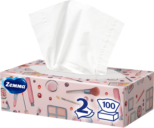 Салфетки бумажные ZEMMA Everyday 2 слоя, в коробке, 100шт, картинка