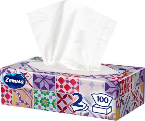 Салфетки бумажные ZEMMA Everyday 2 слоя, в коробке, 100шт, вид