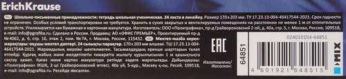 Тетрадь школьная ученическая ERICHKRAUSE Техно Дино, 24 листа, в линейку, вид