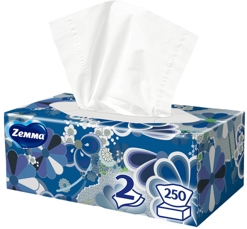 Салфетки бумажные ZEMMA Everyday 2 слоя, в коробке, 250шт, крупный план
