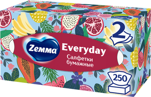 Салфетки бумажные ZEMMA Everyday 2 слоя, в коробке, 250шт, картинка