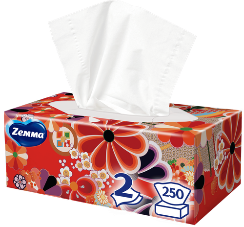 Салфетки бумажные ZEMMA Everyday 2 слоя, в коробке, 250шт, вид