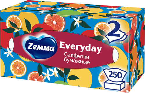 Салфетки бумажные ZEMMA Everyday 2 слоя, в коробке, 250шт, картинка