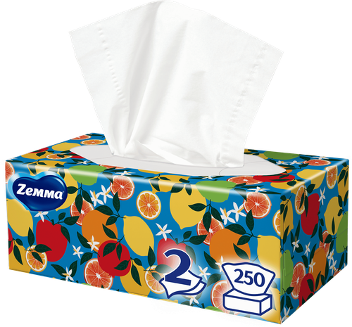 Салфетки бумажные ZEMMA Everyday 2 слоя, в коробке, 250шт, картинка