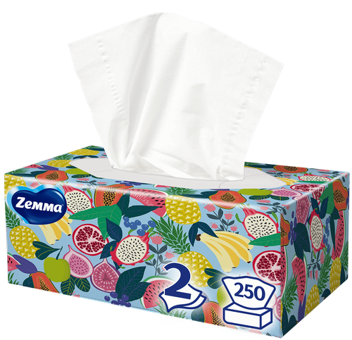 Салфетки бумажные ZEMMA Everyday 2 слоя, в коробке, 250шт, фотография