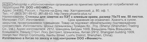 Стикеры для заметок ФЕНИКС+ Каникулы капибары, пластик, 7,5х7,5см, Арт. 72321, 50шт, крупный план