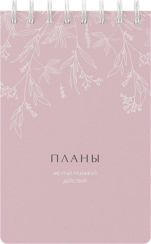 Блокнот Эстетик мини на спирали, 48 листов, Арт. NPSPHS48, фото