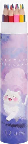 Набор карандашей Пушистик, Арт. PNCC12, 12шт, вид