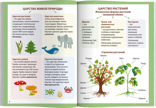 Книга ФЕНИКС+ Шпаргалки отличника. Готовимся к ВПР, 16 листов, Арт. 65792 1, крупный план
