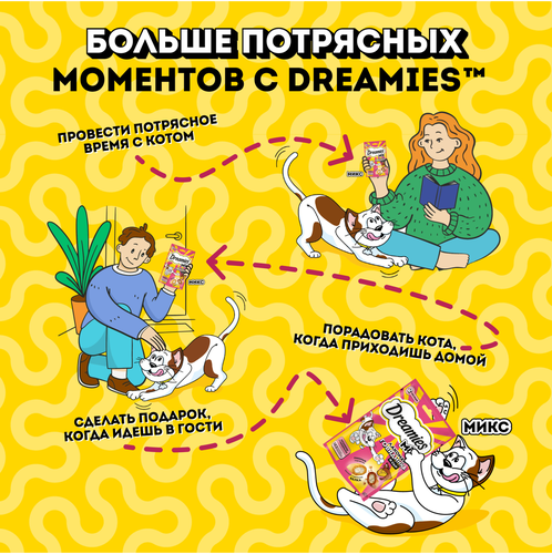 Лакомство для взрослых кошек DREAMIES MIX (Микс) говядина, сыр, 60г, детальное фото