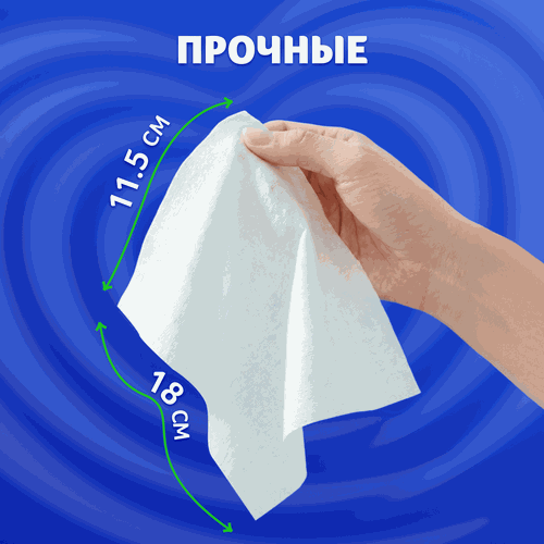 Бумага туалетная влажная ZEMMA Деликатная Забота, 80шт, картинка