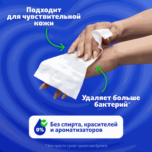 Бумага туалетная влажная ZEMMA Деликатная Забота, 80шт, картинка
