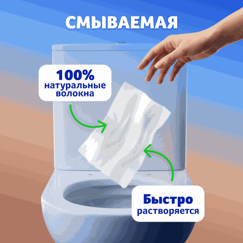 Бумага туалетная влажная ZEMMA с маслом Ши, 80шт, крупный план