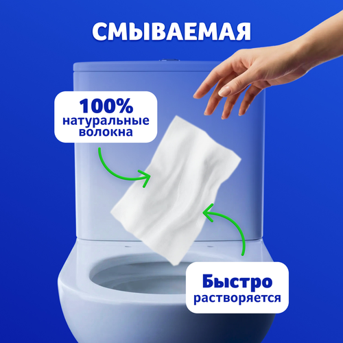 Бумага туалетная влажная ZEMMA Деликатная забота, 40шт, картинка