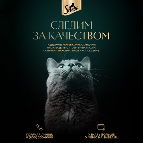 Корм консервированный для кошек SHEBA Нежный паштет утка и печень, 75г, картинка