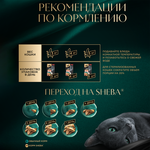 Корм консервированный для кошек SHEBA Нежный паштет форель и креветка, 75г, картинка