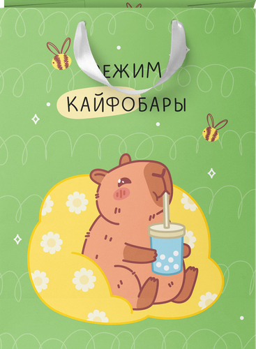 Пакет подарочный CITY HOME TRADE Котик и Капибара 25,5х31,5х11см, Арт. LV, крупный план