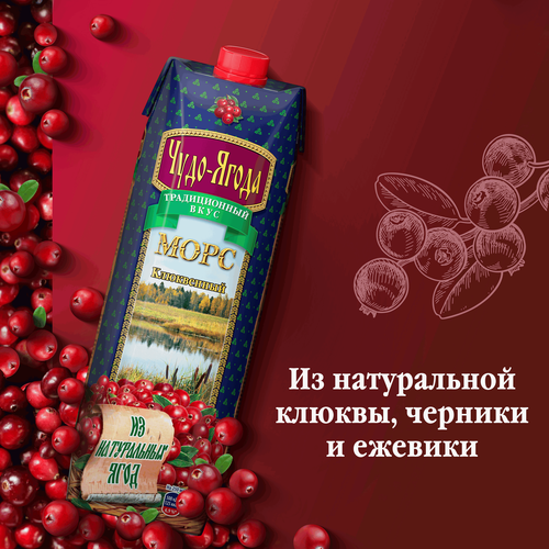 Морс ЧУДО-ЯГОДА Клюквенный, 0.97л, изображение