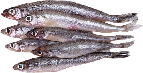 Корюшка средняя, неразделанная ЛЕНТА FRESH, весовая, изображение