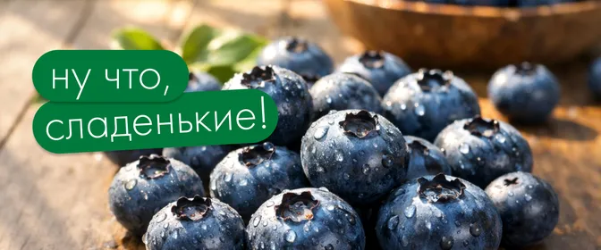 баннеры
