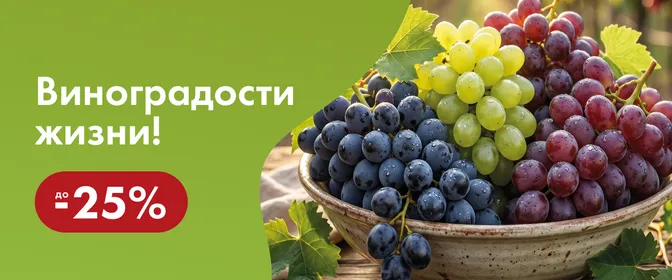 Сезон винограда: 27.08-18.09_ОМНИ