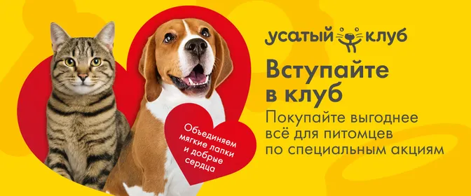 Усатый клуб