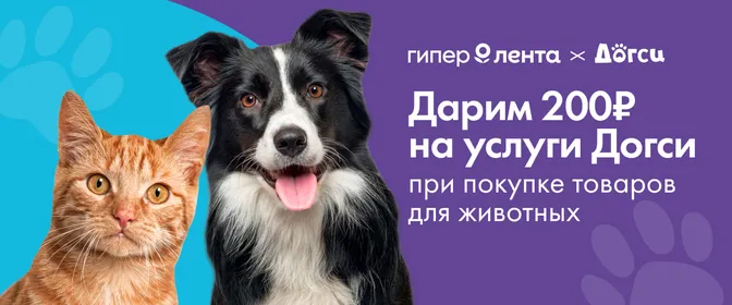 Догси 01.02.-31.08.