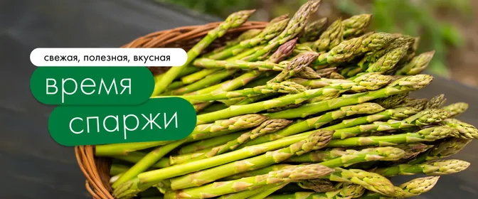 Сезон спаржи 01.05-31.05_ОМНИ