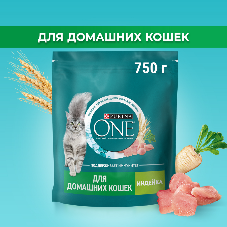 Корм сухой для взрослых кошек PURINA ONE живущих в домашних условиях, с высоким содержанием индейки и цельными злаками, 750г, предпросмотр