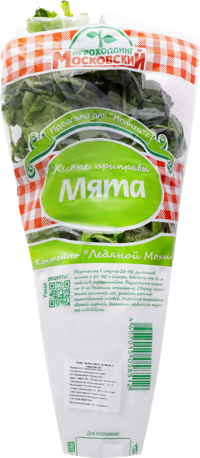 Мята, в горшочке, превью