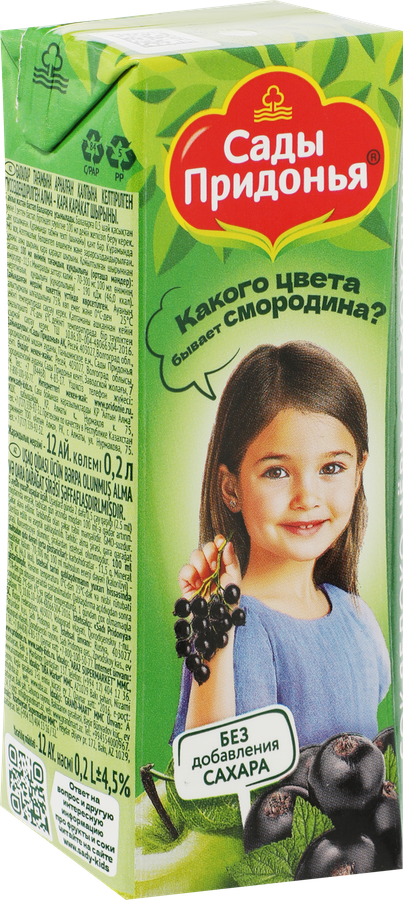 Сок САДЫ ПРИДОНЬЯ Яблоко, черная смородина, с 5 месяцев, 200мл, превью