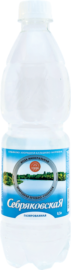 ВодаминеральнаяСЕБРЯКОВСКАЯлечебно-столоваягазированная,0.5л