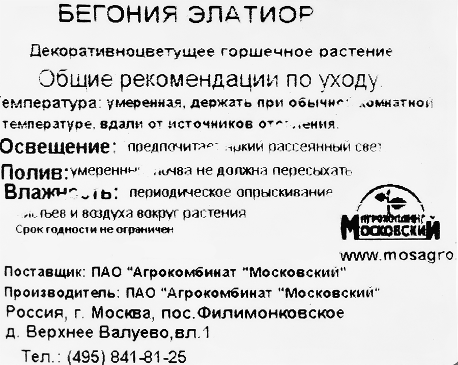 Растение в горшке Бегония Элатиор d=15см, предпросмотр