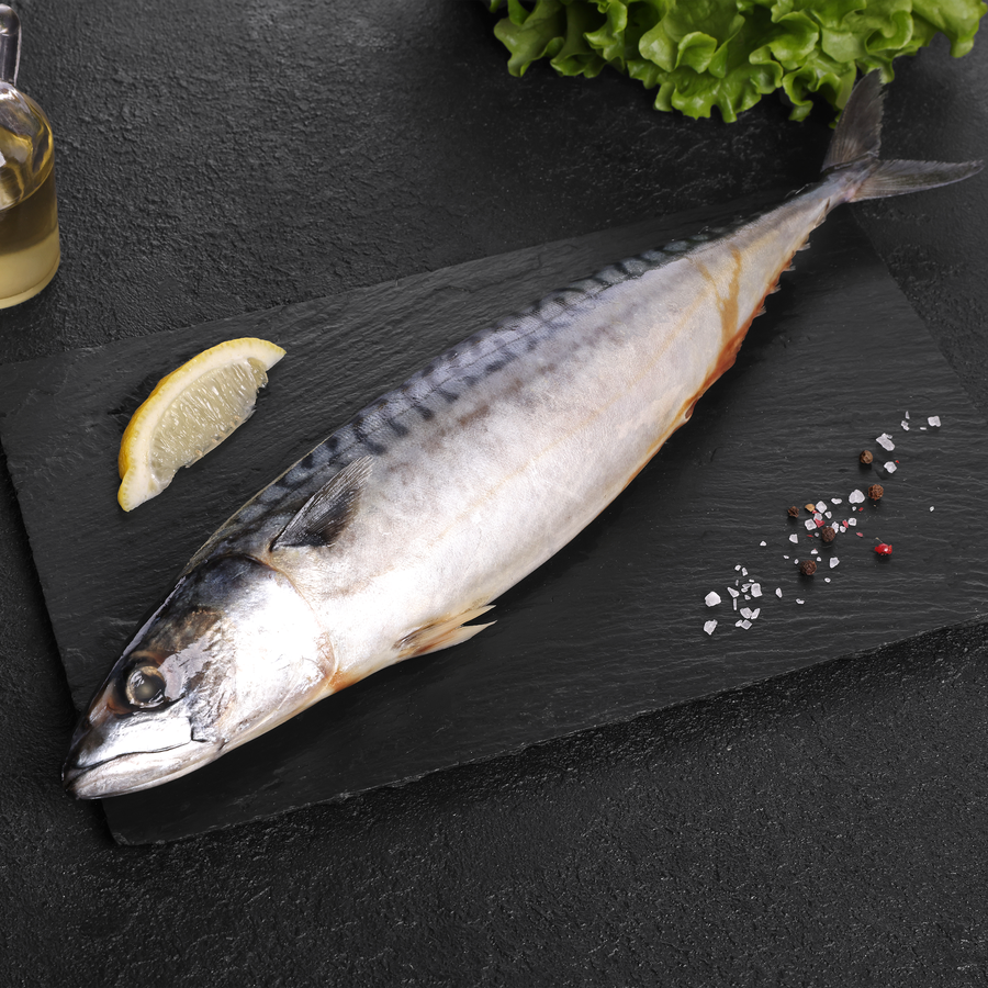 Скумбрия Тихоокеанская ЛЕНТА FRESH непотрошеная с головой 200г+ (из 
замороженного сырья), весовая, превью