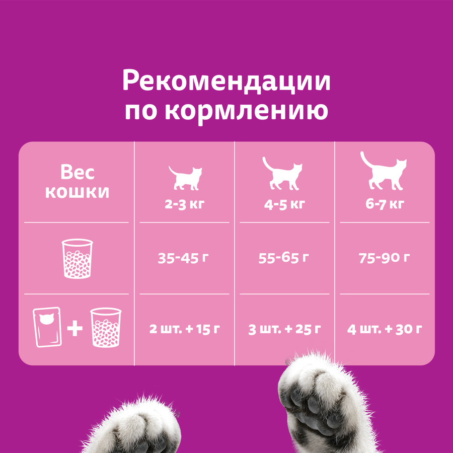 Корм сухой для кошек WHISKAS Вкусные подушечки с нежным паштетом, Аппетитное ассорти с курицей и индейкой, 800г, превью