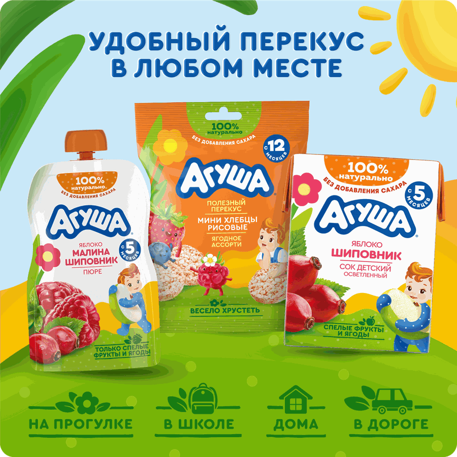 Сок детский АГУША Яблоко-шиповник, с 5 месяцев, 200мл, превью