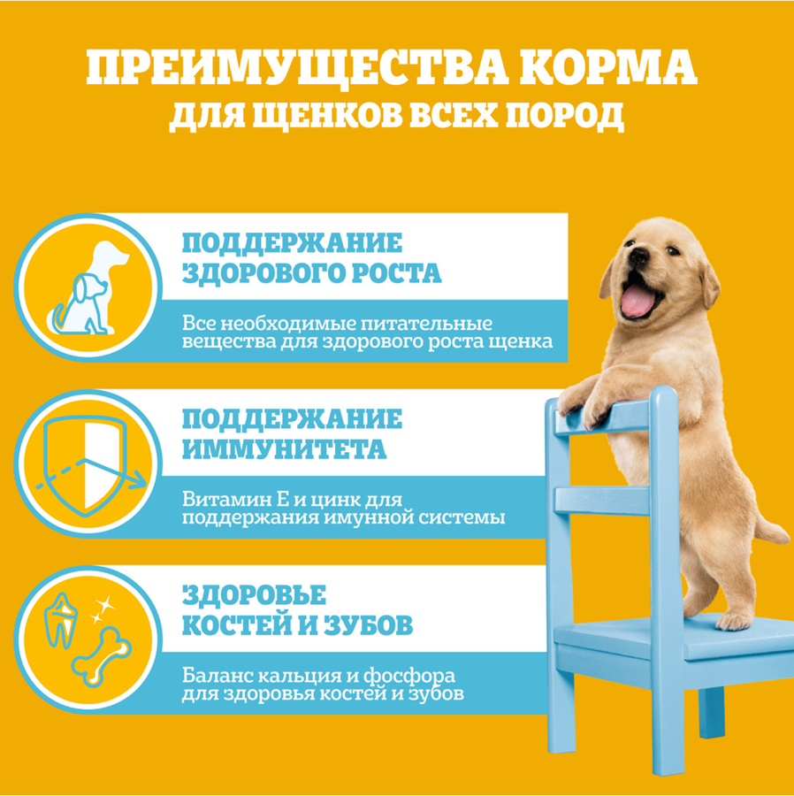 Корм консервированный для щенков PEDIGREE с говядиной в соусе, от 1 месяца, полнорационный, 85г, предпросмотр
