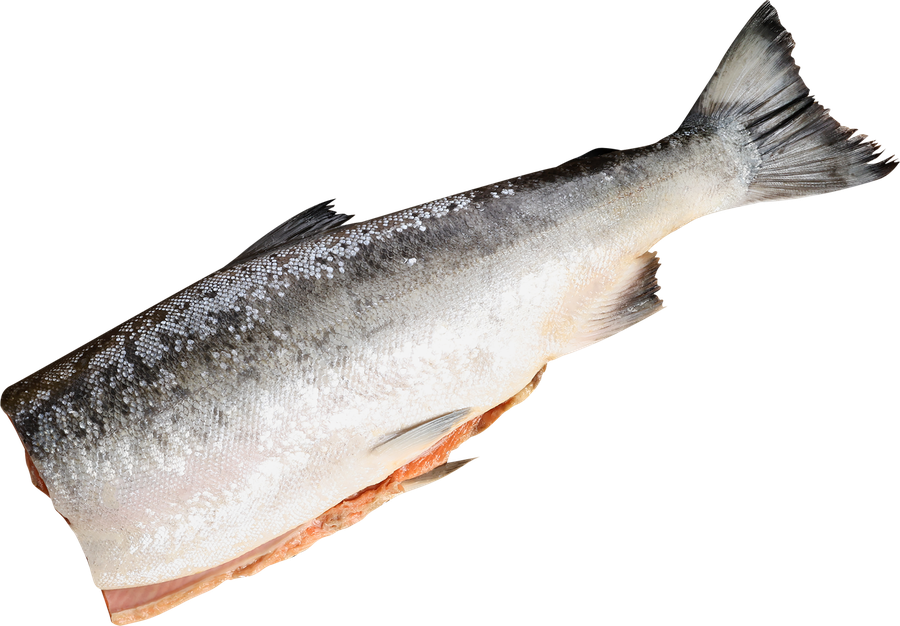 Кета Тихоокеанская ЛЕНТА FRESH потрошеная без головы (из замороженного сырья), весовая, предпросмотр