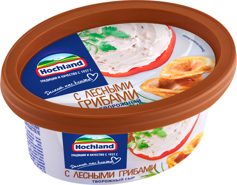 Сыр творожный HOCHLAND с лесными грибами 60%, без змж, 140г, предпросмотр