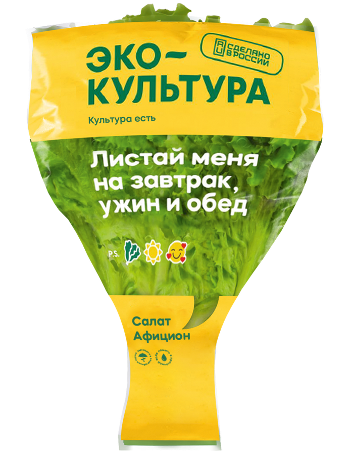 Салат листовой, в горшочке, превью