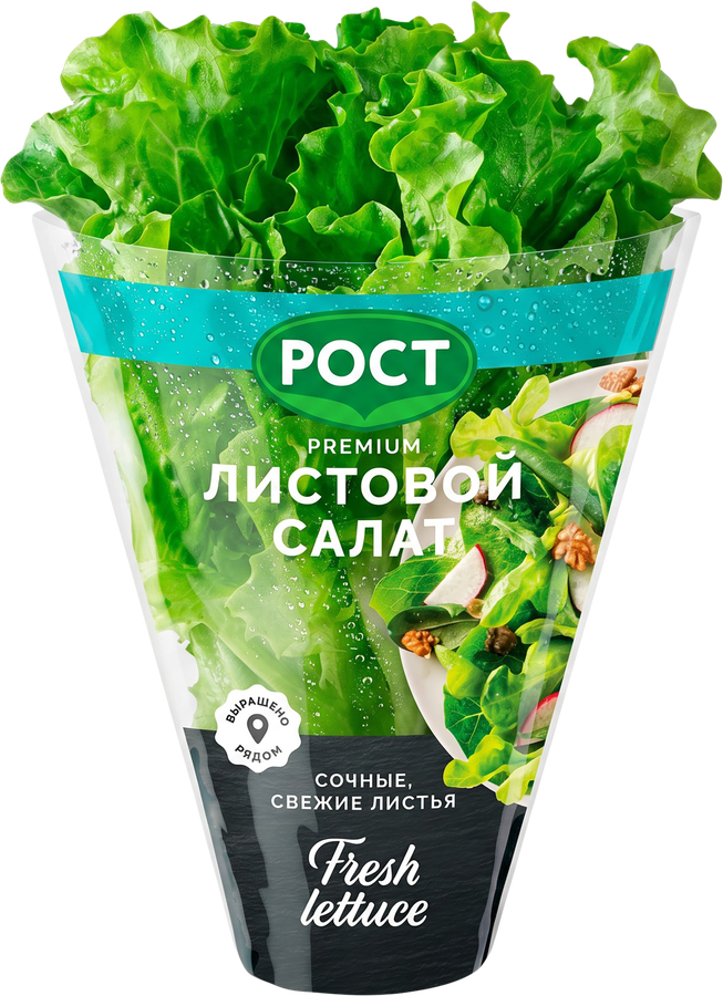 Салат листовой, в горшочке, превью
