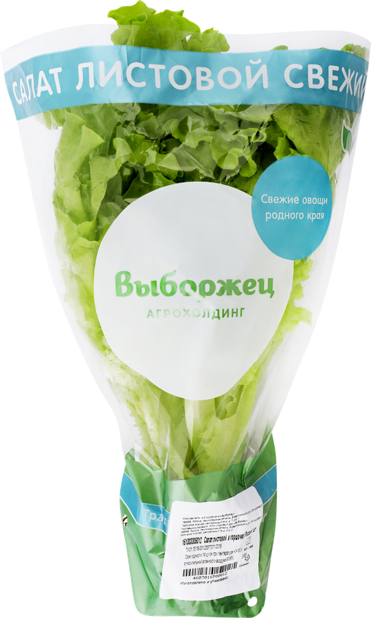 Салат листовой, в горшочке, превью