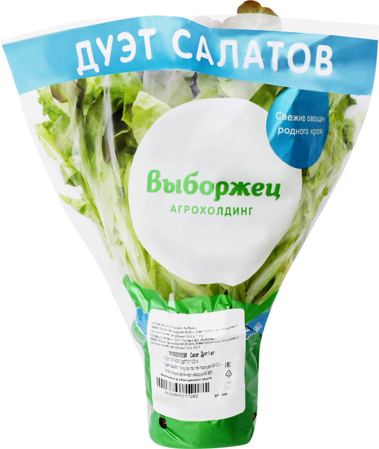 Салат Дуэт, превью