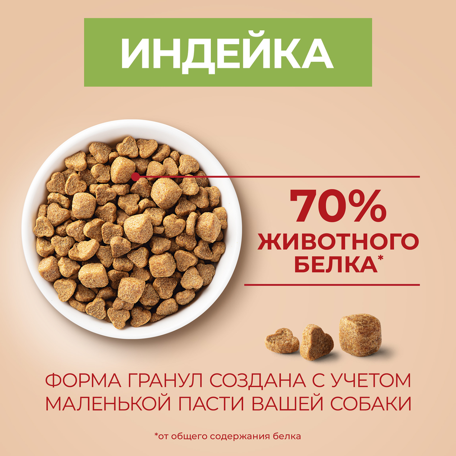 Корм сухой для взрослых собак PURINA ONE Здоровый вес для мелких пород, склонных к набору веса, с высоким содержанием индейки и с рисом 600г, превью