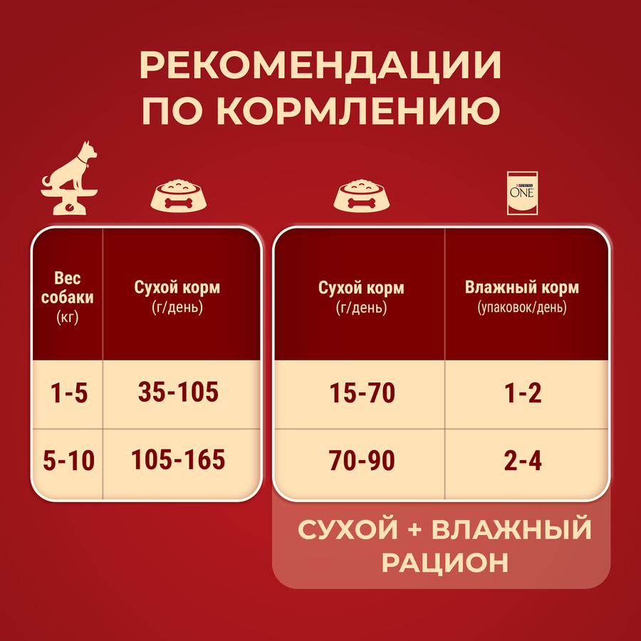Корм сухой для взрослых собак PURINA ONE Мини Чувствительная, для мелких пород с чувствительным пищеварением, с лососем и рисом, 600г, предпросмотр
